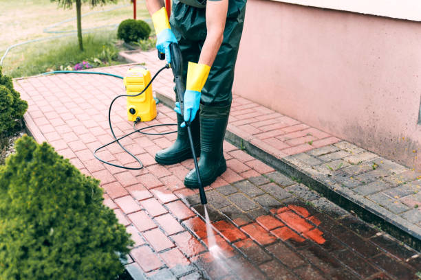Best Driveway Pressure Washing  in Woodsboro, MD