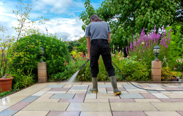 Best Pre-Holiday Cleaning  in Woodsboro, MD